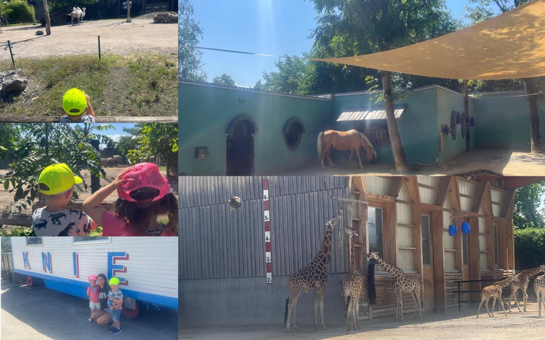 Kids+ Ausflug: Kinderzoo Rapperswil